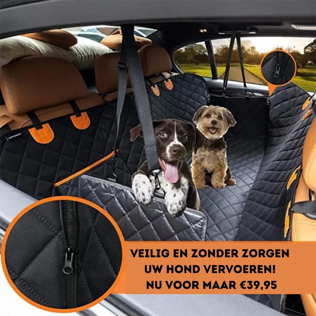 Honden Autostoelhoes